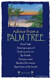 I ran across a list of advice from a tree in an image on a facebook post last week. Advice From A Palm Tree Frameable Art Postcard Palm Tree Quotes Tree Quotes Advice Quotes