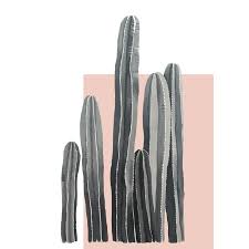 Aesthetic Black And White Cactus Drawing Black And White Cactus Paigeboy Prints Plant Painting Aesthetic Pastel Wallpaper Cactus Pictures