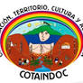 Comunicado COTAINDOC: Vulneración de los derechos al Rdo Guambiano la Maria