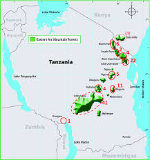 Image result for Balthasaria schliebenii