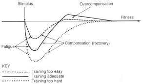 stronglifts 5 x 5 get stronger by lifting weights only 3x week