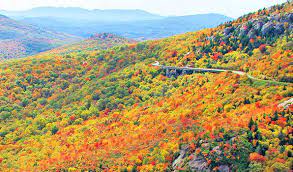 The blue ridge parkway is one of the most picturesque roads in the usa, perfect to drive in the spring along the way, cumberland knob, high piney spur overlook, rough ridge overlook, and. Rough Ridge Hike Blue Ridge Parkway
