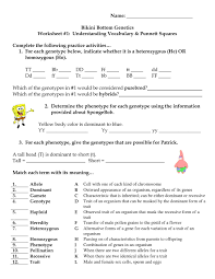 Now kids of all ages can learn to type the spongebob way! 35 Bikini Bottom Genetics Worksheet Worksheet Project List