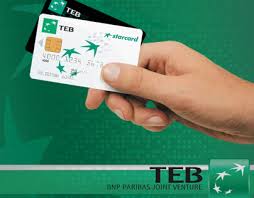 A reputable institution in the turkish banking sector, teb was established in 1927. Erinn Sopa On Behance