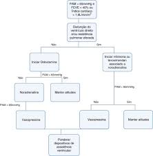 O tratamento clínico de suporte é a primeira linha do tratamento. Choque Cardiogenico Farmacos Inotropicos E Vasopressores Sciencedirect