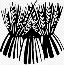 Wheat Cartoon Choose from 4600+ wheat sheaf graphic resources and download in the form of png, eps, ai or psd. subpng