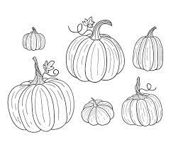 Free printable squash coloring page for kids to download, plants vs. Pumpkin Coloring Pages 8 Free Fun Printable Coloring Pages Of Pumpkins That Celebrate Fall Printables 30seconds Mom