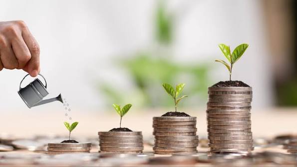 Bonos verdes: rentabilidad y sostenibilidad | Metrovacesa