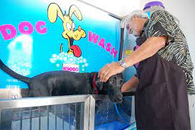 Up to 70% off car wash services from top rated merchants in 28403, wilmington. Wilmington Gets The K9000 The Self Serve Diy Dog Washing Station From Down Under Port City Daily