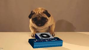 Animated Pug Cute Pugs Funny Baby Images Animated Movies Funny #gif #gifler #we are your friends #we are your friends gif #dj gif #music gif. animated pug cute pugs funny baby