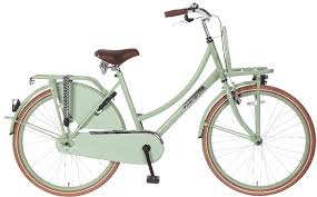 26 Damen Holland Fahrrad Popal Daily Dutch Basic Tr26 Damenrad Hollandrad Rucktritt Kaufen Bei Hood De Fahrrad Damen Fahrrad Holland Hollandrad