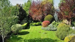 Add vertical planting so the. Border Lines Planning A New Garden Don T Bother With Pen And Paper Get Tramping Round Your Plot The Independent The Independent