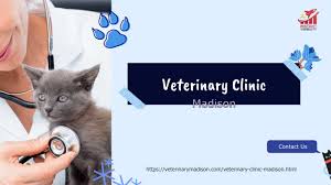 Maybe you would like to learn more about one of these? Veterinary Clinic Madison
