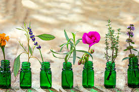 Image result for Essential Oils