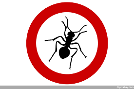 Die meisten ameisenarten haben ihre sogenannten nester der essiggeruch ist für ameisen unangenehm, weshalb es ein gutes mittel gegen ameisen ist. Ameisenmittel 13 Naturliche Mittel Gegen Ameisen Hausgarten Net