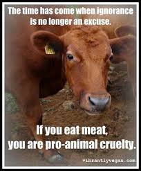 No More Excuses Vegan Facts Vegan Quotes Vegan Animals