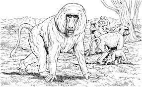 Color activities for toddlers online. Coloring Pages Coloring Pages Baboon Printable For Kids Adults Free