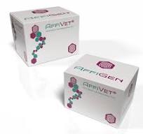 AffiVET® Bovine Brucella Antibody Rapid Test