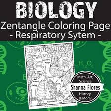 Nov 26, 2019 · printable respiratory system worksheet coloring page. Respiratory System Coloring Worksheets Teaching Resources Tpt
