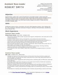 Team Lead Job Description Resume Beautiful Assistant Team Leader Resume Samples In 2020 Medical Assistant Resume Resume Skills Resume Examples