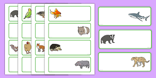 Whether it's because of their eating habits, coloring, or dental design, these eight creatures have earned themselves an association with vampires. Editable Drawer Name Labels Animals Animals With Labels