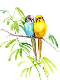 Pin On Watercolor Birds