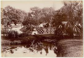 Exit the mansion and head for the austral. Botanical Gardens Sydney C 1900 1910 Royal Botanic Gardens Sydney Interesting Historical Photos Botanical Gardens