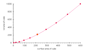 The Surface Area To Volume Ratio