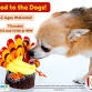 Read to the Dogs event image