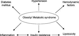 Obesity And Obesity Initiated Metabolic Syndrome Mechanistic Links To Chronic Kidney Disease American Society Of Nephrology