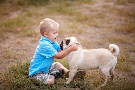 Karma (fate or destiny, hindi and sanskrit) eternity (time everlasting) harmony (concord, unity) gita (sanskrit for song) rene (born again or reborn in french) miko (female shaman or priestess) torah (bearer of a great spiritual message) chandra (sanskrit for moon) dharma (sanskrit for law) bodhi (sanskrit for awakening) mojo (magical charm or spell) asher (hebrew … 100 Dog Names That Mean Hope