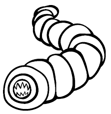 Worms coloring pages for kids and parents, free printable and online coloring of worms pictures. Worm Coloring Page Animals Town Animals Color Sheet Worm Printable Coloring