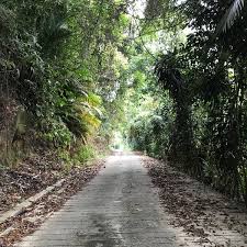 We did not find results for: Hutan Simpan Kekal Bukit Belau