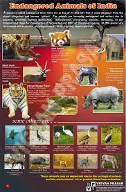 Mammalsedit · red panda (ailurus fulgens) · sei whale (balaenoptera borealis) · blue whale (balaenoptera musculus) · fin whale (balaenoptera physalus) · wild water . Kheti Bari India Has 988 Species On Iucn Red List In 2021 Endangered Animals Wildlife Of India Species