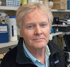 e-NEwSlEttER e-NEwSlEttER