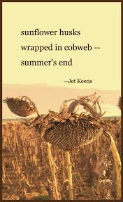 Sunflower Husks A Haiku By Jet Keene Haiku Poetry Keene Haiku