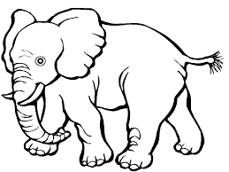 We did not find results for: La Zoo Planse De Colorat Copii È™i Mame