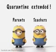 Pin By Erin Funtufunyu On Odd Video In 2020 Funny Minion Quotes Minions Funny Funny Minion Pictures