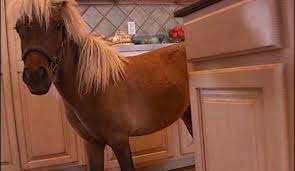 Stop wasting your time and see your internet deal now. Someone From Long Island Is Giving Away A Mini Horse On Craigslist Update