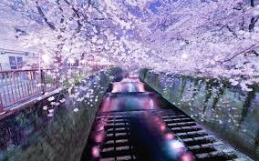 Hd wallpapers and background images. Tumblr Japanese Aesthetic Wallpaper Pc Novocom Top