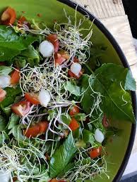 De plant wordt ook hanenpoot, tuinmansverdriet en heers genoemd. Zeven Keer De Lekkerste Recepten Met Zevenblad Vega Lifestyle Magazine