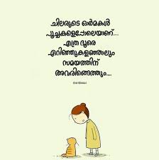 Pin By Hanna Han On Malayalam Quotes Boxing Quotes Funny Quotes Life Quotes