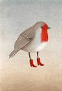Image result for hana stupica ptica