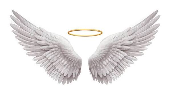 Angel Wings With Halo Images – Browse 65,780 Stock Photos, Vectors, and  Video | Adobe Stock