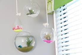 Amazing fish tanks home design ideas. Images Tagged Fish Tank San Diego Interior Designers