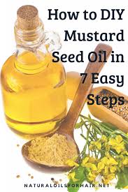 Mustard oil truly enjoyed and used in large quantity are people from bengal, they love their mustard in many forms and in every possible dish. How To Make Your Own Mustard Oil