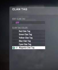 Can We Please Have This Color Clan Tag Feature At Prestige 7 Blackops4