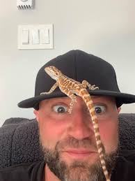 Bearded Dragon's First Beach Day Experiences