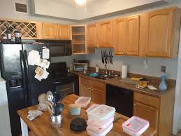 painting my ugly kitchen cabinets from