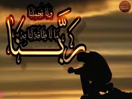 كل يوم كلمة حلوة kelmah helwa instagram photos and videos neon signs instagram photo instagram